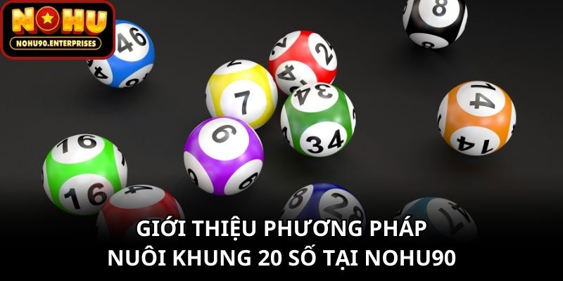 Giới thiệu phương pháp nuôi khung 20 số tại Nohu90